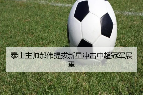 泰山主帅郝伟提拔新星冲击中超冠军展望
